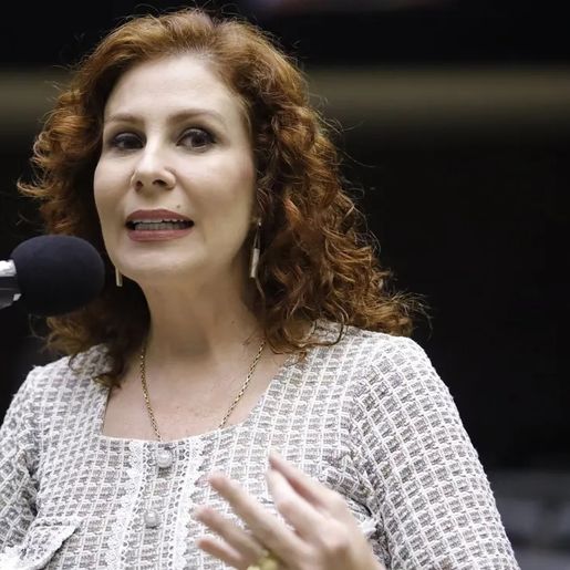 Decisão do STF pela perda do mandato de Zambelli pode criar novo embate com a Câmara