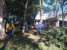 Lions e Léo Clube realizam ação voltada ao meio ambiente em SJCedro 
