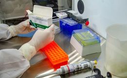 Anvisa interrompe estudos clínicos da vacina Coronavac