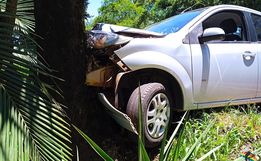 Motorista perde controle da direção e carro se choca contra árvore na SC 163