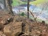 Fogo em vegetação se espalha e atinge galpão no interior de Belmonte