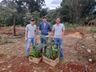Lions Clube de Iporã do Oeste realiza nova etapa do Projeto 10 mil Árvores