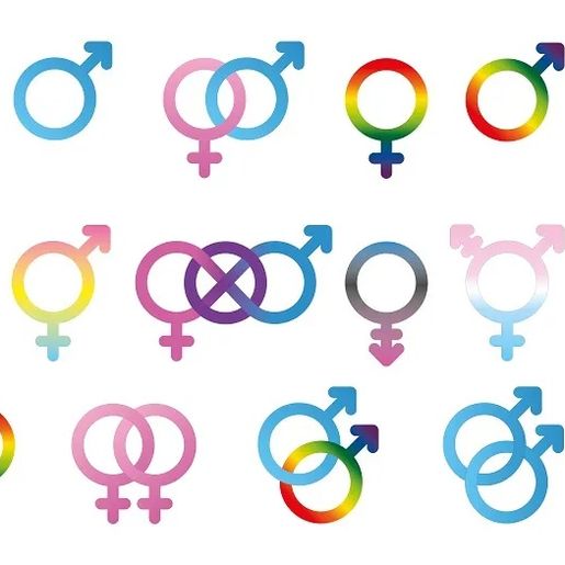 Divulgada primeira pesquisa sobre orientação sexual dos brasileiros