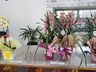 CAESP/APAE de Iporã do Oeste realiza 2ª edição da Feira das Flores