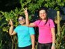 Caminhada da Primavera reúne mais de 500 pessoas neste domingo em SMO