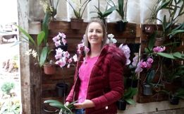 Mondaiense torna a paixão por orquídeas uma profissão