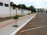 Prefeitura de SJCedro trabalha no plantio de árvores