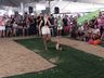 Desfile de cães tem presença de 20 animais na Efrait 2024