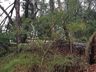 Temporais causam estragos em Itapiranga