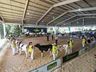 Itaipu Rural Show se encerra neste sábado, 22, fechando os quatro dias da 26ª edição