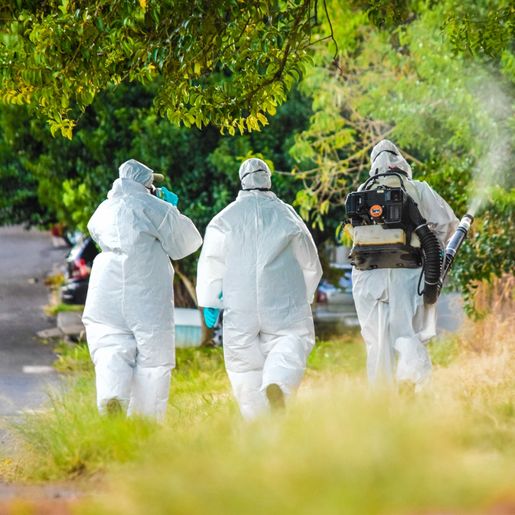 SMO confirma mais 4 casos de dengue e chega a 22 registros neste ano