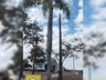 Setor de Meio Ambiente inicia desenvolvimento do projeto de arborização
