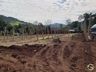 Empreendedor aposta na produção de hortifrutis no interior de Mondaí
