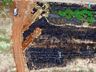 Idoso é flagrado pela 3ª vez realizando queimadas às margens da BR-282