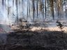 Risco de incêndios aumenta com a chegada do inverno