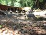 SJO investe 15 mil por dia no transporte de água