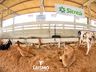 Confira fotos de domingo da maior feira multisetorial da região