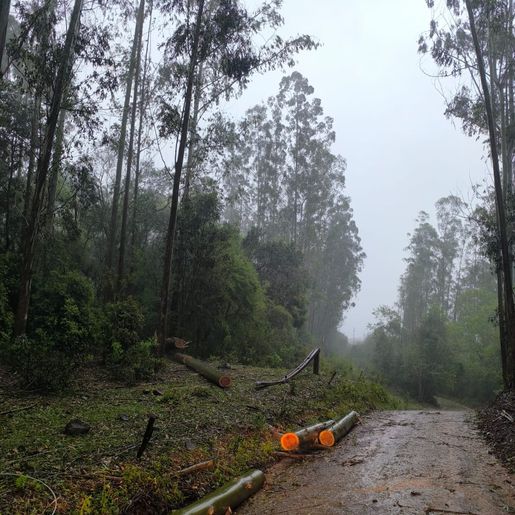 Defesa Civil detalha impactos do temporal em São Miguel do Oeste