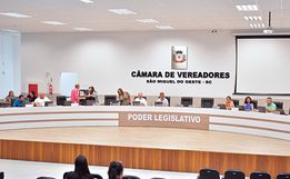  Vereadores pedem que Congresso e STF se posicionem contra ação que descriminaliza o aborto