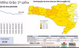 Epagri estima crescimento nas principais culturas de SC para a safra de verão 2020/21 