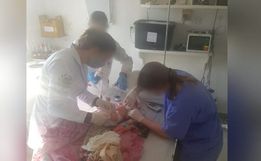 DNA indica mãe de bebê achada às margens de rodovia