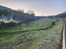 FOTOS: Onda de frio provoca geada em Itapiranga