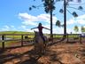 VÍDEO: Relação entre humanos e cavalos traz benefícios para o corpo e mente 