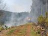 Incêndio de grandes proporções consome dez hectares de mata