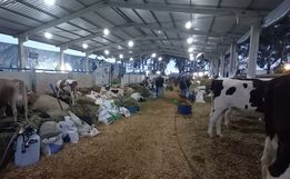 Segundo dia de Expo Cedro 2023!