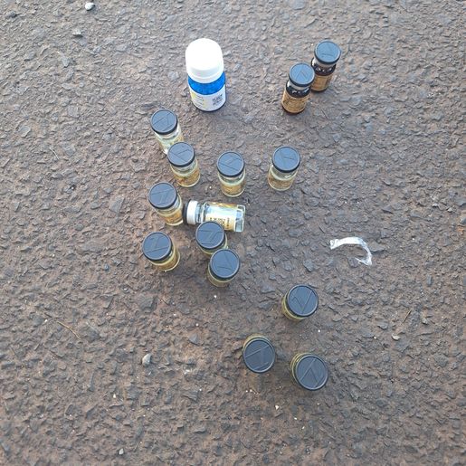 Dupla é flagrada com anabolizantes e haxixe em rodovia na SC-157