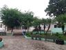 Tunápolis dá continuidade ao plano de arborização com plantio de árvores na cidade