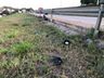 Colisão frontal entre caminhonetes e carreta deixa um ferido na BR-163, em São José do Cedro