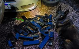 Canil encontra mais droga em carro usado para o tráfico em SMO