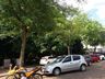 Tunápolis dá continuidade ao plano de arborização com plantio de árvores na cidade