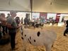 Julgamento do gado leiteiro e rodada de negócios movimentam o sábado na Expo Campo Erê