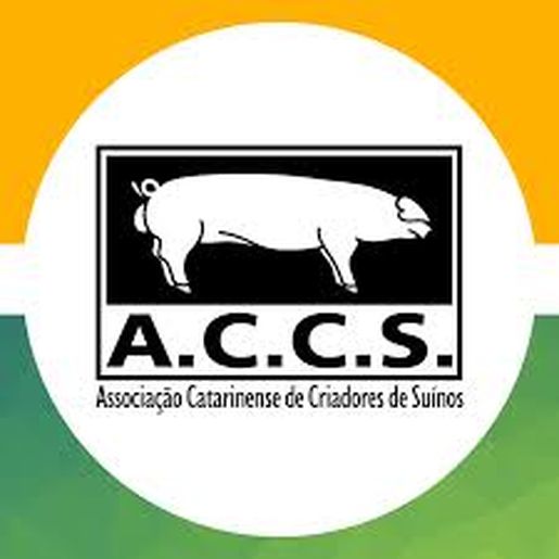 ACCS considera que tarifas não impactam na suinocultura