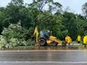Temporal causa destelhamentos e queda de árvores em Descanso