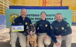 Cão farejador Bili se aposenta da PRF após 9 anos de bons serviços 