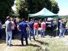 Cooperalfa promove campo tecnológico de pastagens de verão em SJCedro