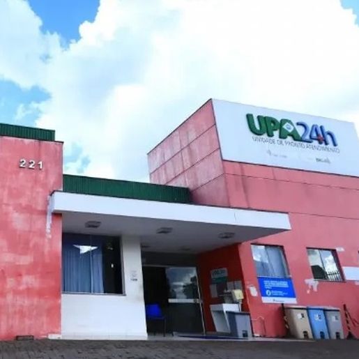 Homem morre ao ser atacado por abelhas  