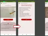 Estudante cria app que identifica larva do mosquito da dengue