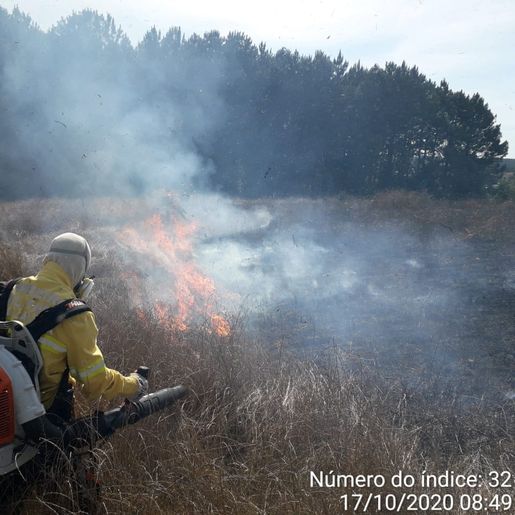 Bombeiros combatem fogo em lavoura de aveia