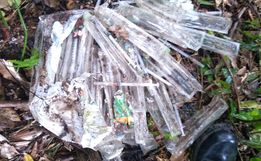 Campanha em Descanso incentiva descarte correto de medicamentos usados por diabéticos