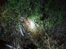 Homem morre em acidente grave na BR-282 em Descanso