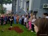 Igreja Católica desenvolve campanha para plantio de árvores
