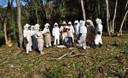 Epagri realiza mais uma capacitação técnica com apicultores