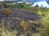 VÍDEO: Incêndio em vegetação mobiliza bombeiros de Itapiranga