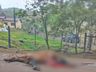 Colisão entre carro e cavalo deixa homem ferido no interior de Paraíso