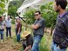 Dia de Campo sobre Videira é realizado em Guarujá do Sul