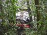 Motorista morre em capotamento na BR-282
